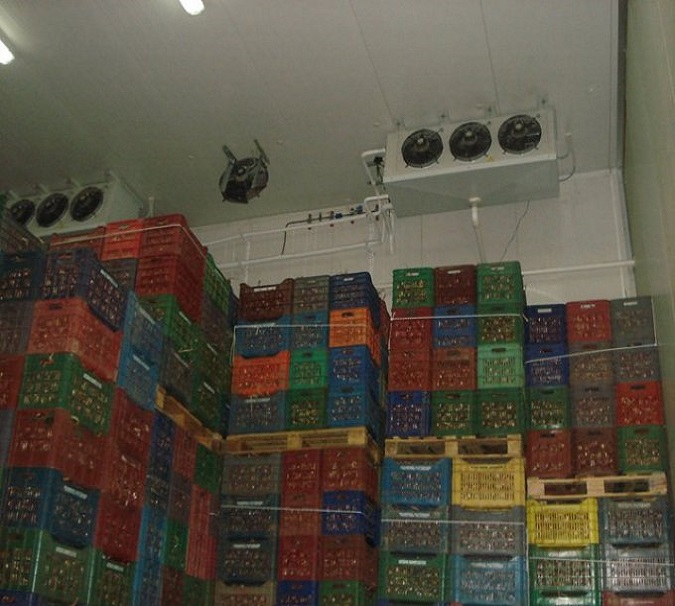 διαφορες φωτο_2